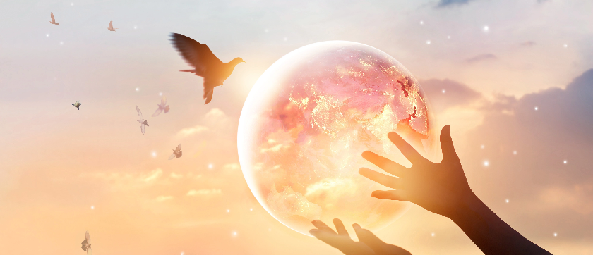 CARE-CAE - illustration article groupe de méditation